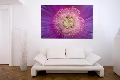 a living room with a white couch and a purple flower at Galeria River in Ljubljana