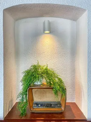 a green plant sitting inside of an old radio at Youth Hostel Bledec in Bled