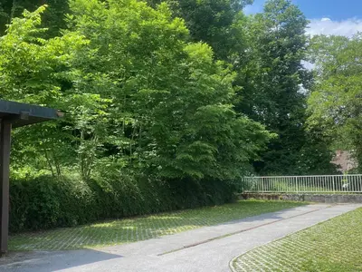 a street with a fence and a tree at Youth Hostel Bledec in Bled