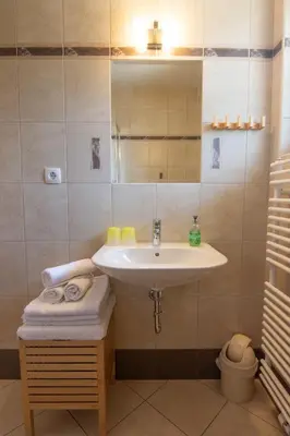 a bathroom with a sink and a mirror at Tourist Farm 