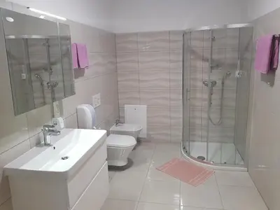 a white bathroom with a shower and a toilet at Apartmaji Janković in Logatec