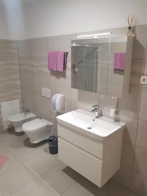 a bathroom with a sink and a toilet and a mirror at Apartmaji Janković in Logatec