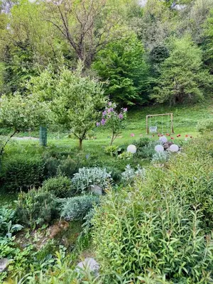 a garden with a bunch of plants in a field at LizMari in Podčetrtek