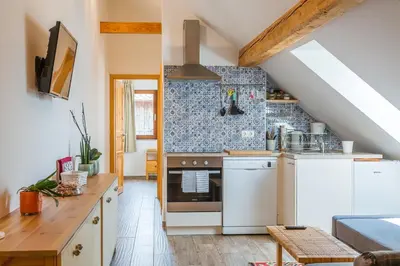 a small kitchen with a stove and a sink at Pr'Jernejc Agroturism in Lesce
