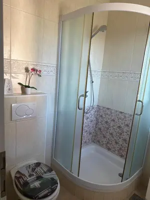 a bathroom with a shower with a toilet and a tub at Apartments and Rooms With View on Bled in Zgornje Gorje