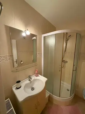 a bathroom with a sink and a shower with a mirror at Apartments and Rooms With View on Bled in Zgornje Gorje
