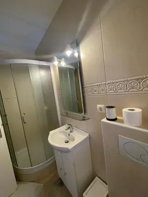 a small bathroom with a sink and a shower at Apartments and Rooms With View on Bled in Zgornje Gorje