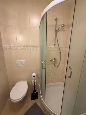 a small bathroom with a toilet and a shower at Apartments and Rooms With View on Bled in Zgornje Gorje