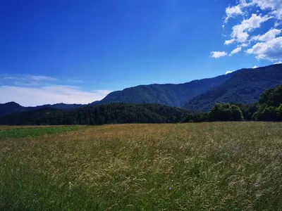 a field of grass with mountains in the background at Small wooden houses and Apartments Zgornja Dobrava in Radovljica