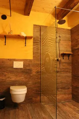 a bathroom with a toilet and a glass shower at Gorska Reka Guesthouse in Zreče