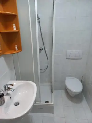 a bathroom with a shower and a sink and a toilet at Sobe Levc in Mozirje