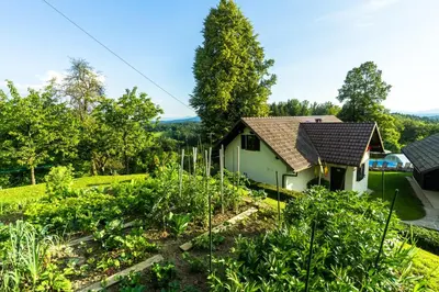 a garden in front of a house at Holiday House in Nature with Pool, Pr Matažič in Kamnik