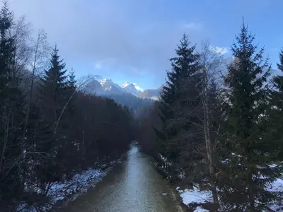 a road in the middle of a forest with mountains at Auredius Deluxe Apartment in Kranjska Gora
