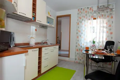 a kitchen with a green rug on the floor at Apartments Mencinger in Bohinj