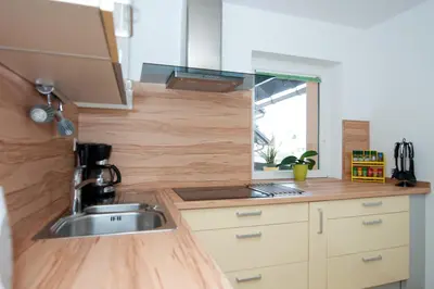 a kitchen with a sink and a counter top at Apartments Mencinger in Bohinj