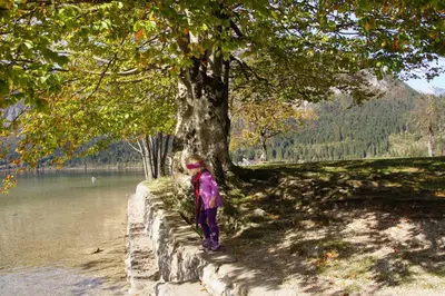 a person standing next to a tree next to a river at Apartments Mencinger in Bohinj