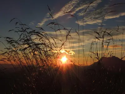 a sunset with tall grass in front of a mountain at Apartments Mencinger in Bohinj