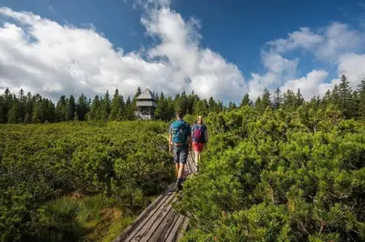 two people walking on a wooden path in a field at Rogla Apartma Kekec in Zreče
