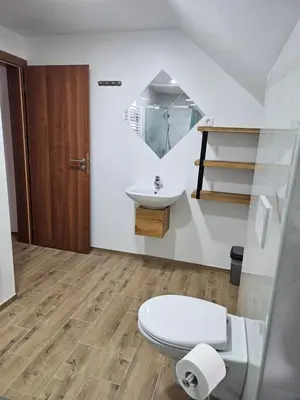 a bathroom with a toilet and a sink at Dežman Apartments & Rooms in Kranj