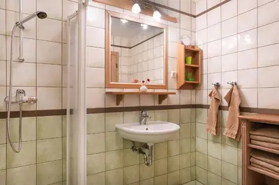a bathroom with a sink and a shower at Apartments Tourist farm Matijovc in Naklo
