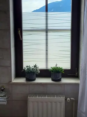three plants sitting on a window sill next to a radiator at Resort Vidmar - Apartments Vidmar near Bled in Lesce