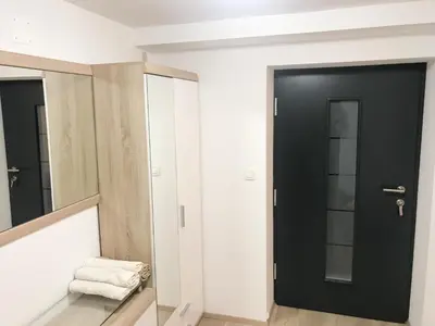 a bathroom with a black door and a mirror at Apartment Tosca near Vintgar and Lake Bled in Zgornje Gorje
