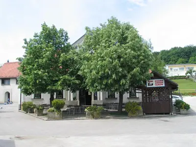 a house with two trees in front of it at Marinčič Inn in Škocjan