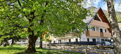 a house with a tree in front of it at Villa Mojca - Jasna&Jelka Apartments, Central Location with Private Garage and Alpine View in Kranjska Gora