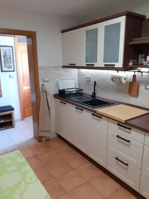a kitchen with white cabinets and a sink at APARTMA ANA IDA in Srpenica