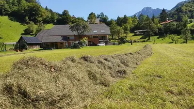 a large field of hay in front of a house at Apartments Tourist Farm Štorman with EV Ch-Station in Tržič