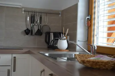 a kitchen with a sink and a counter top at Apartments Tourist Farm Štorman with EV Ch-Station in Tržič