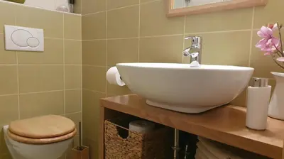 a bathroom with a sink and a toilet at Apartments Tourist Farm Štorman with EV Ch-Station in Tržič
