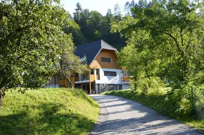 a road leading to a house with trees at Apartments Tourist Farm Štorman with EV Ch-Station in Tržič