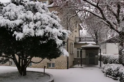 a snow covered tree in front of a building at Apartments Villa Boltez in Kranj