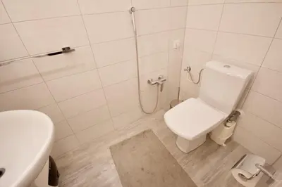 a bathroom with a toilet and a sink and a shower at Albina apartment in Ljubljana