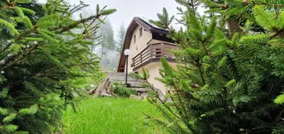 a house in the middle of a field with trees at Apartma Smučka pod Roglo in Zreče