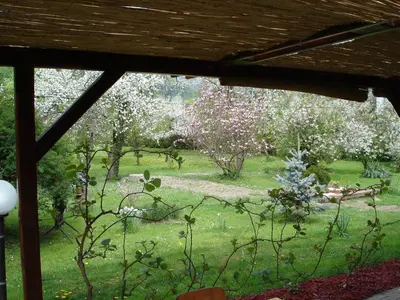 a window view of a garden with flowering trees at Guest House Čater in Laško