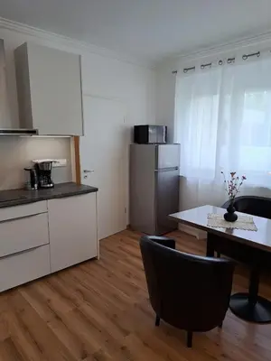 a kitchen with a table and a kitchen with white cabinets at Vila Ema Apartments and Rooms in Ljubljana
