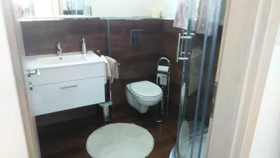 a bathroom with a white sink and a toilet at Vila Ema Apartments and Rooms in Ljubljana