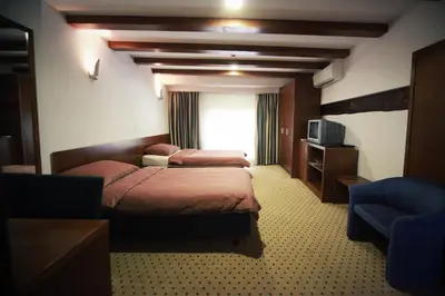 a hotel room with two beds and a window at Guest House pri Vodniku in Ljubljana