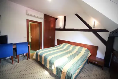 a bedroom with a bed and a desk in a room at Guest House pri Vodniku in Ljubljana
