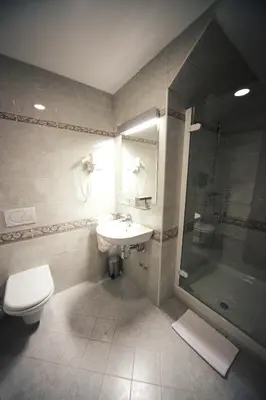 a bathroom with a toilet and a sink and a shower at Guest House pri Vodniku in Ljubljana