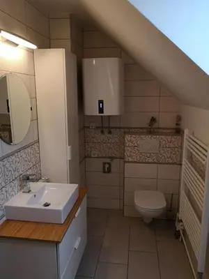a bathroom with a sink and a toilet at Entire house Iris & Arnika in Bled