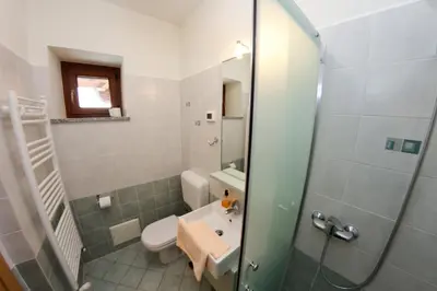 a bathroom with a toilet and a sink and a shower at Zoi Apartments in Dobrovo