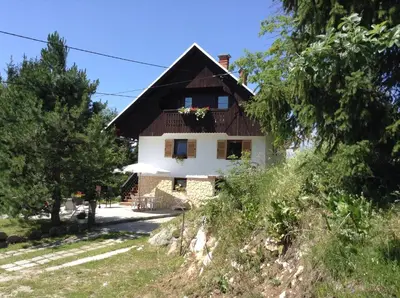 a house on the side of a hill at APARTMENT CHALET -BOHINJ- Pokljuka- Triglav National Park in Koprivnik v Bohinju