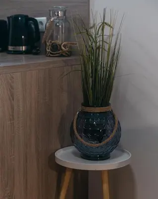 a black vase sitting on a stand with a plant in it at Apartments Park Šiška Ljubljana in Ljubljana