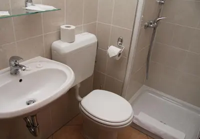 a bathroom with a toilet and a sink and a shower at B&B Pod Skalo in Kamnik