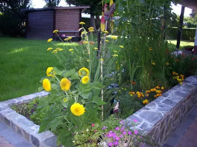 a garden with yellow flowers in a stone wall at Rooms4Young in Ljubljana
