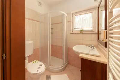 a bathroom with a shower and a toilet and a sink at Guest House Pod Slavnikom in Podgorje