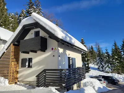 a snow covered house with a snow covered roof at Holiday house Nune in Zreče